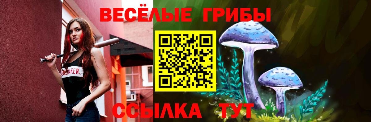 Домодедово  Псилоцибиновые грибы прущие грибы  Псилоцибиновые грибы MAGIC MUSHROOMS  Вход с VPN 